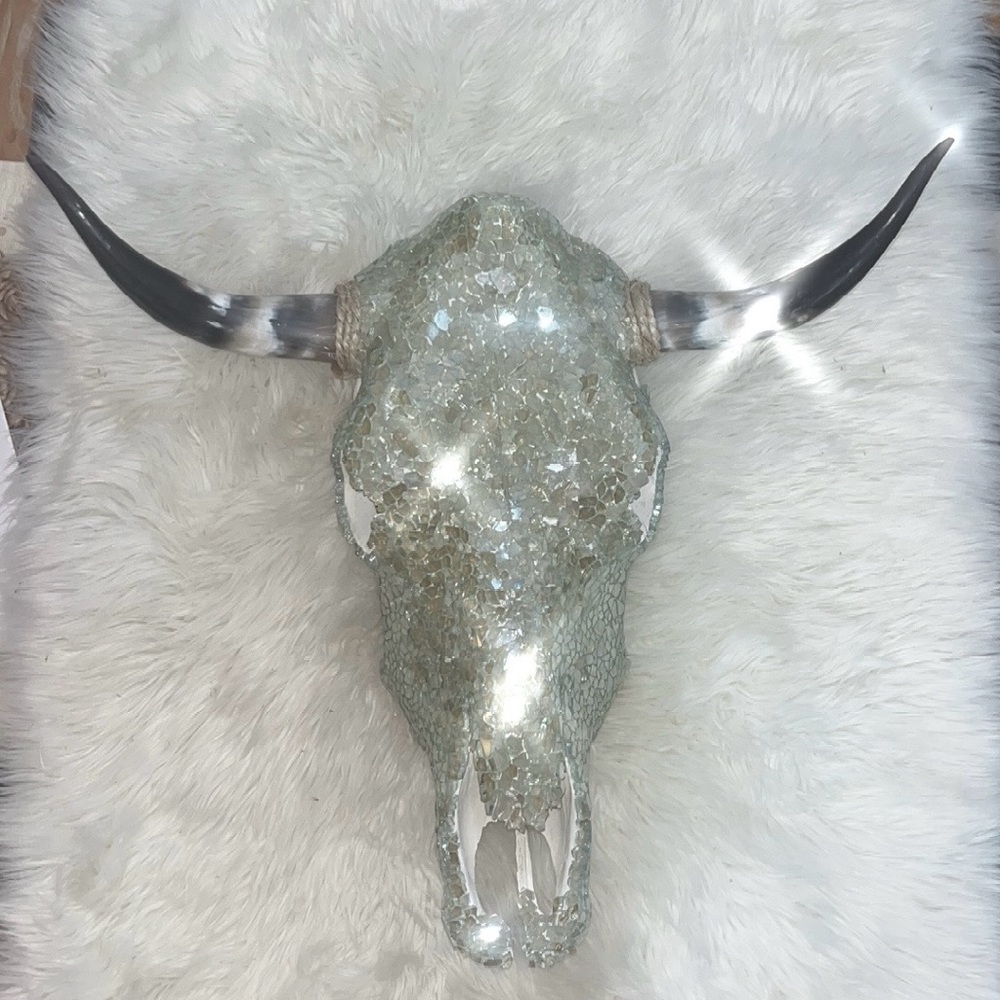 Steer skulls